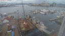 ./images/victoria/wharf/20240217/wharf20240217_132000.jpg