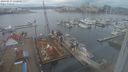 ./images/victoria/wharf/20240217/wharf20240217_132500.jpg