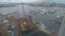 ./images/victoria/wharf/20240217/wharf20240217_133000.jpg