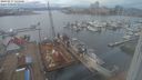 ./images/victoria/wharf/20240217/wharf20240217_135000.jpg