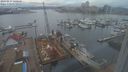 ./images/victoria/wharf/20240217/wharf20240217_140000.jpg