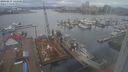 ./images/victoria/wharf/20240217/wharf20240217_144501.jpg