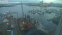 ./images/victoria/wharf/20240217/wharf20240217_173501.jpg