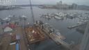./images/victoria/wharf/20240218/wharf20240218_124501.jpg