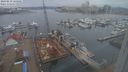 ./images/victoria/wharf/20240218/wharf20240218_125501.jpg