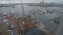 ./images/victoria/wharf/20240218/wharf20240218_144001.jpg