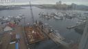 ./images/victoria/wharf/20240218/wharf20240218_151000.jpg