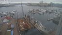 ./images/victoria/wharf/20240218/wharf20240218_151500.jpg