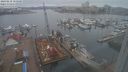 ./images/victoria/wharf/20240218/wharf20240218_155500.jpg