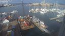 ./images/victoria/wharf/20240219/wharf20240219_101500.jpg