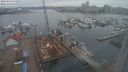 ./images/victoria/wharf/20240219/wharf20240219_131000.jpg