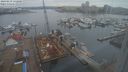 ./images/victoria/wharf/20240219/wharf20240219_132000.jpg