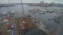 ./images/victoria/wharf/20240219/wharf20240219_133000.jpg