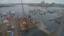 ./images/victoria/wharf/20240219/wharf20240219_133500.jpg