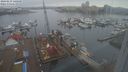 ./images/victoria/wharf/20240219/wharf20240219_140500.jpg