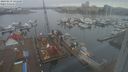 ./images/victoria/wharf/20240219/wharf20240219_141000.jpg