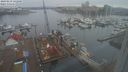 ./images/victoria/wharf/20240219/wharf20240219_142000.jpg