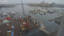 ./images/victoria/wharf/20240219/wharf20240219_144000.jpg