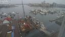 ./images/victoria/wharf/20240219/wharf20240219_145001.jpg