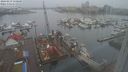 ./images/victoria/wharf/20240219/wharf20240219_150500.jpg