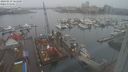 ./images/victoria/wharf/20240219/wharf20240219_161500.jpg