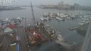 ./images/victoria/wharf/20240219/wharf20240219_171501.jpg