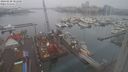 ./images/victoria/wharf/20240220/wharf20240220_081001.jpg