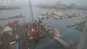 ./images/victoria/wharf/20240220/wharf20240220_082500.jpg