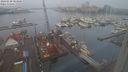 ./images/victoria/wharf/20240220/wharf20240220_083000.jpg