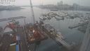 ./images/victoria/wharf/20240220/wharf20240220_085501.jpg