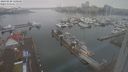 ./images/victoria/wharf/20240220/wharf20240220_120500.jpg