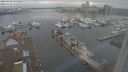 ./images/victoria/wharf/20240220/wharf20240220_135000.jpg