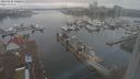 ./images/victoria/wharf/20240220/wharf20240220_140001.jpg