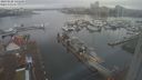 ./images/victoria/wharf/20240220/wharf20240220_141501.jpg