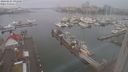 ./images/victoria/wharf/20240221/wharf20240221_091500.jpg