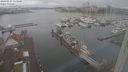 ./images/victoria/wharf/20240221/wharf20240221_113500.jpg