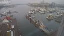 ./images/victoria/wharf/20240222/wharf20240222_074000.jpg