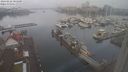./images/victoria/wharf/20240222/wharf20240222_083500.jpg