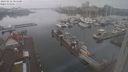 ./images/victoria/wharf/20240222/wharf20240222_084501.jpg