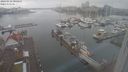 ./images/victoria/wharf/20240222/wharf20240222_085500.jpg