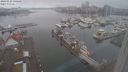 ./images/victoria/wharf/20240222/wharf20240222_090500.jpg