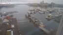 ./images/victoria/wharf/20240222/wharf20240222_092000.jpg