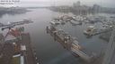 ./images/victoria/wharf/20240222/wharf20240222_092500.jpg