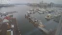 ./images/victoria/wharf/20240222/wharf20240222_095500.jpg
