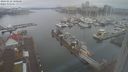 ./images/victoria/wharf/20240222/wharf20240222_100000.jpg