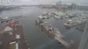 ./images/victoria/wharf/20240222/wharf20240222_101500.jpg