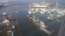 ./images/victoria/wharf/20240222/wharf20240222_103501.jpg