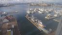./images/victoria/wharf/20240222/wharf20240222_122501.jpg