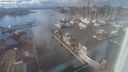 ./images/victoria/wharf/20240222/wharf20240222_151000.jpg