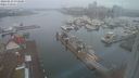 ./images/victoria/wharf/20240223/wharf20240223_073500.jpg